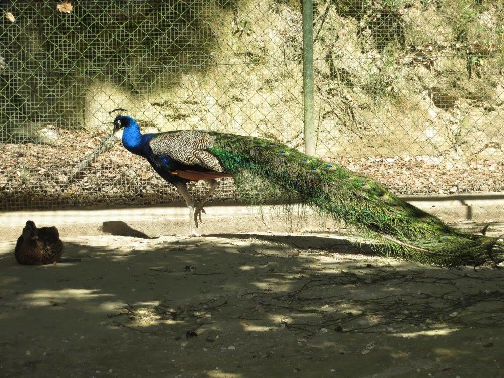 Encosta Dos Tuneis - Turismo E Lazer Север-ду-Вога Екстер'єр фото